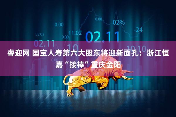 睿迎网 国宝人寿第六大股东将迎新面孔：浙江恒嘉“接棒”重庆金阳