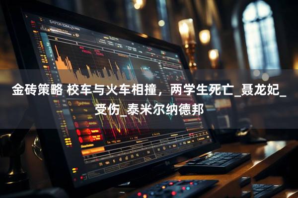 金砖策略 校车与火车相撞，两学生死亡_聂龙妃_受伤_泰米尔纳德邦