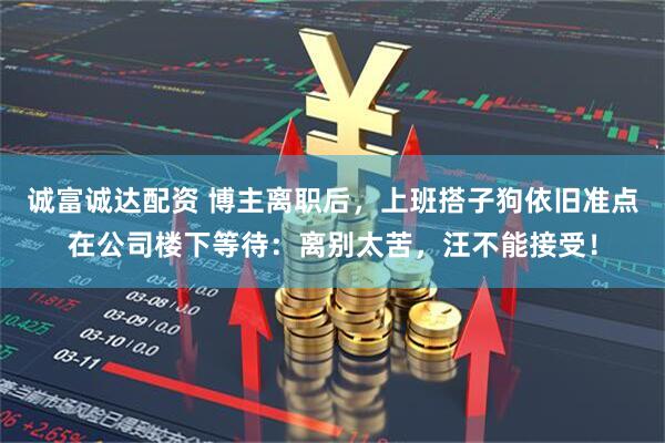 诚富诚达配资 博主离职后，上班搭子狗依旧准点在公司楼下等待：离别太苦，汪不能接受！