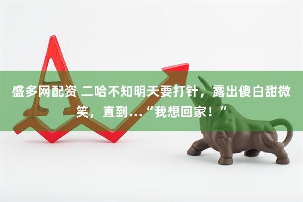 盛多网配资 二哈不知明天要打针，露出傻白甜微笑，直到…“我想回家！”