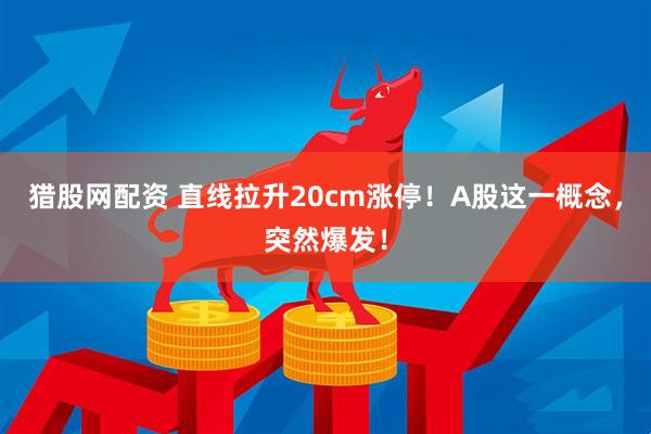 猎股网配资 直线拉升20cm涨停！A股这一概念，突然爆发！