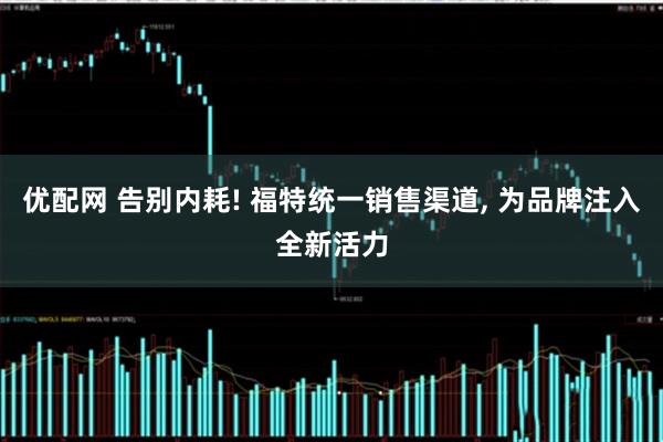 优配网 告别内耗! 福特统一销售渠道, 为品牌注入全新活力
