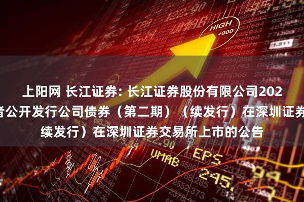 上阳网 长江证券: 长江证券股份有限公司2025年面向专业投资者公开发行公司债券（第二期）（续发行）在深圳证券交易所上市的公告