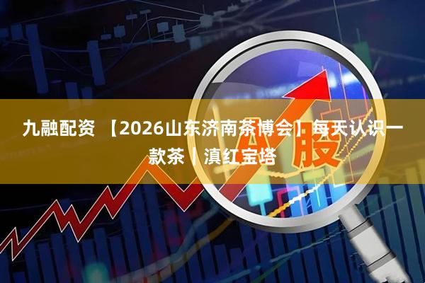 九融配资 【2026山东济南茶博会】每天认识一款茶｜滇红宝塔