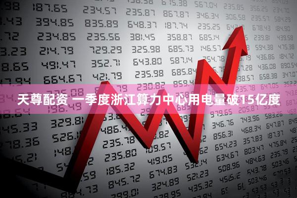 天尊配资 一季度浙江算力中心用电量破15亿度